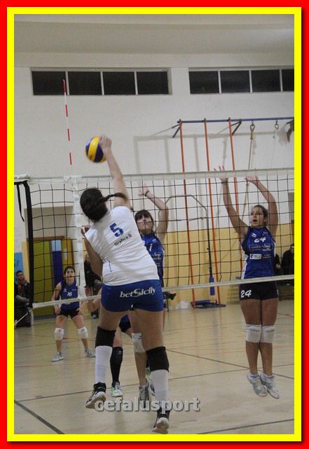 140305 Primula 158_tn.jpg